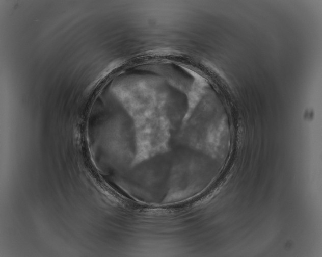 X0000090931305200708271036