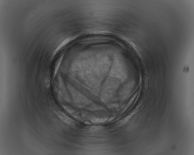 X0000090931306200708271036