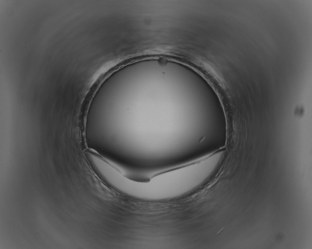 X0000090931308200708271036