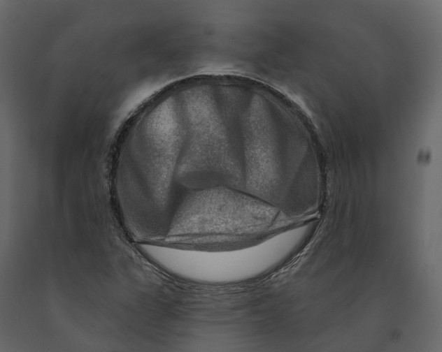 X0000090931311200708271037