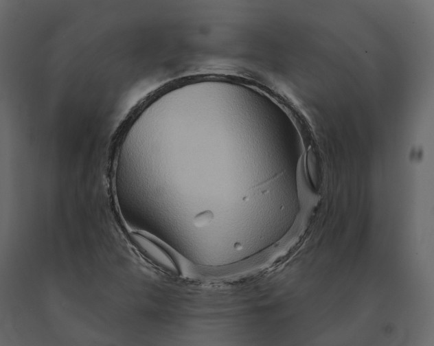 X0000090931312200708271037