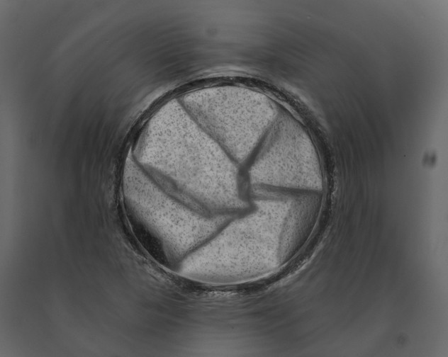 X0000090931313200708271037