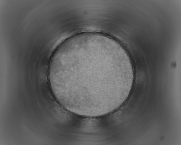 X0000090931314200708271037