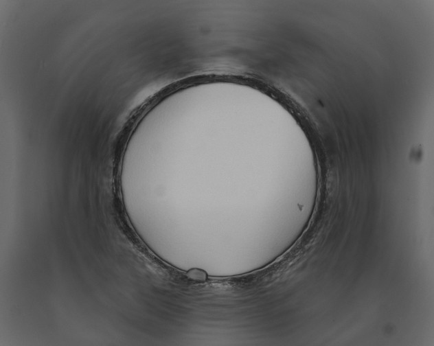 X0000090931315200708271037