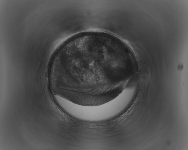 X0000090931319200708271037