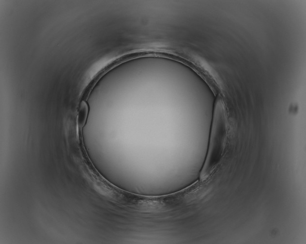 X0000090931320200708271037