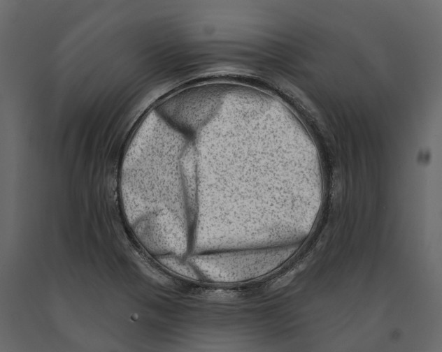 X0000090931321200708271037