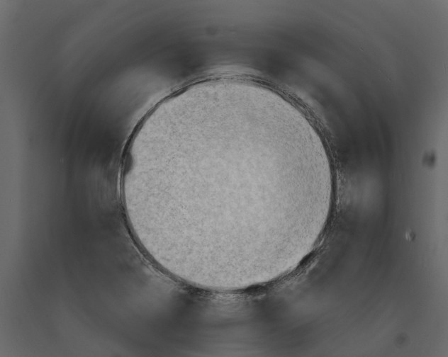 X0000090931322200708271037