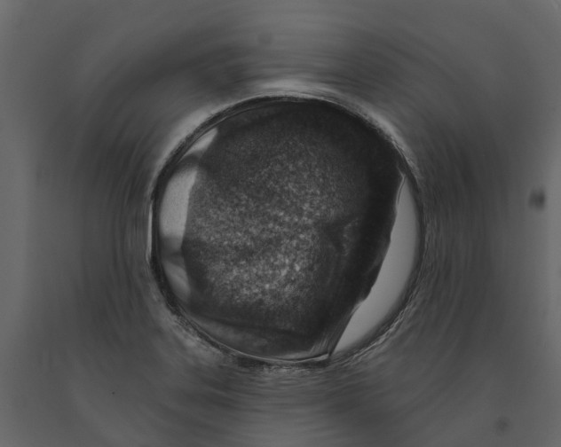 X0000090931323200708271037