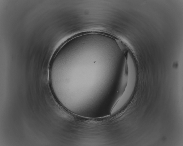 X0000090931324200708271037