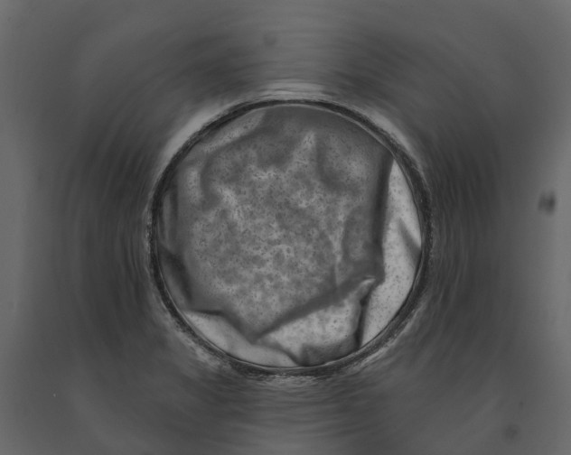 X0000090931325200708271037