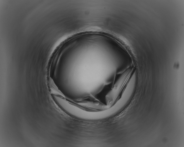 X0000090931326200708271037