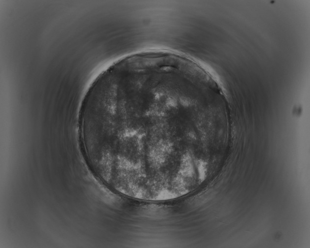 X0000090931327200708271037