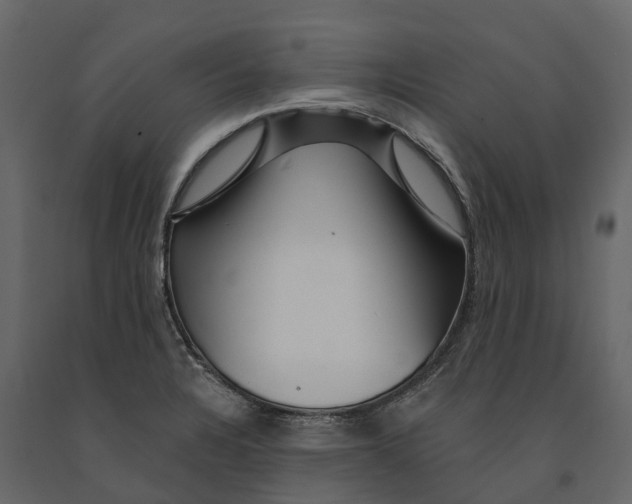 X0000090931328200708271037