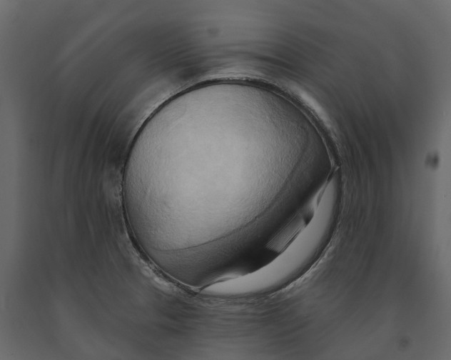 X0000090931329200708271037