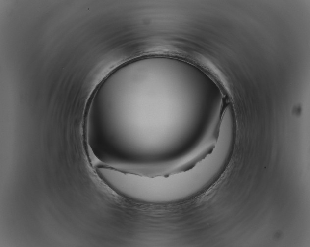 X0000090931330200708271037