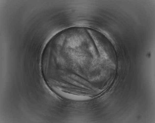 X0000090931331200708271037