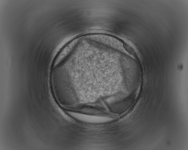 X0000090931333200708271037