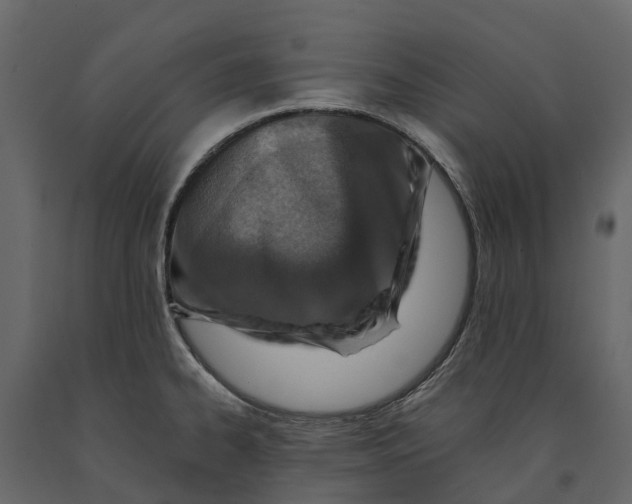 X0000090931334200708271037