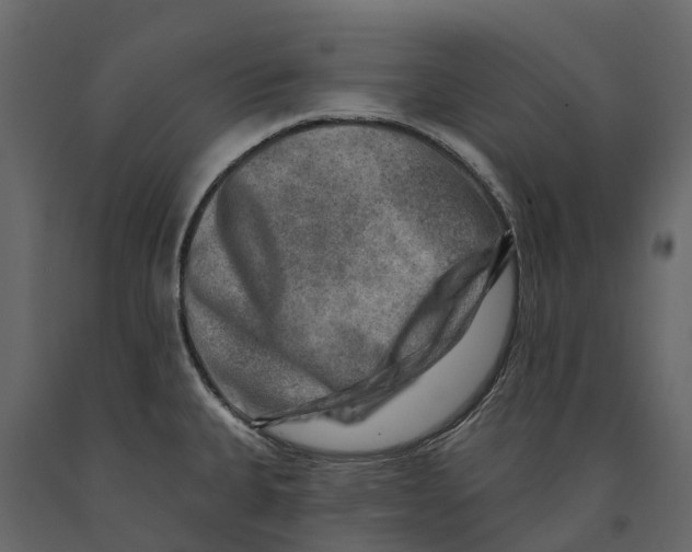 X0000090931335200708271037