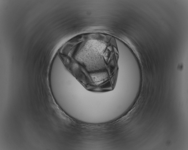 X0000090931336200708271037