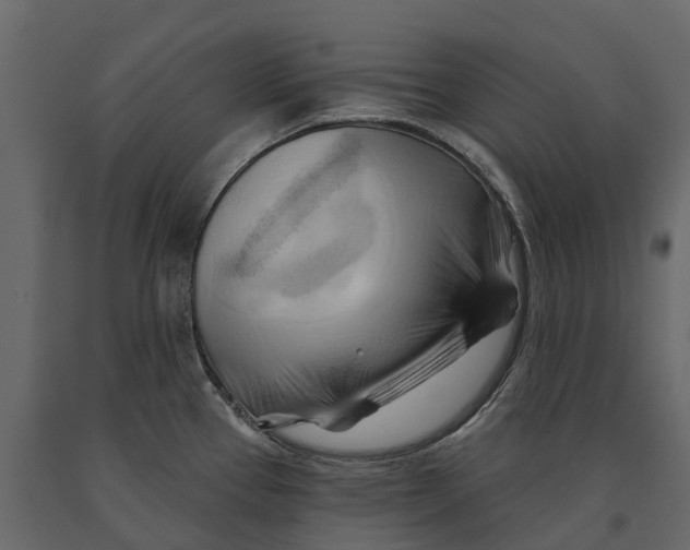 X0000090931337200708271037