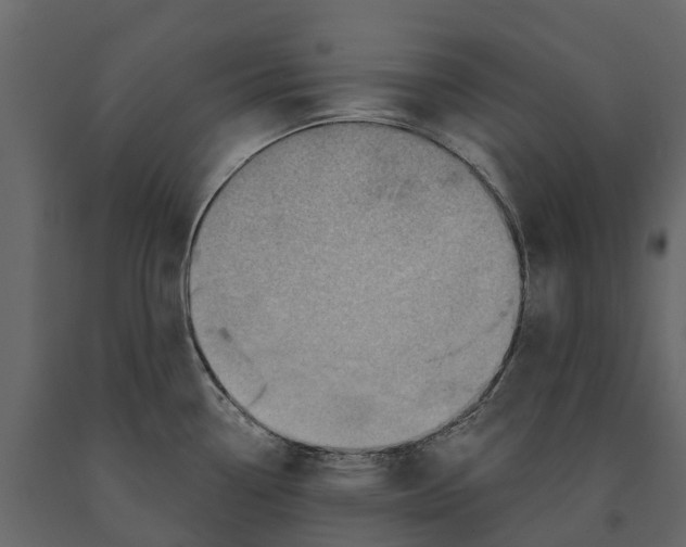 X0000090931338200708271037