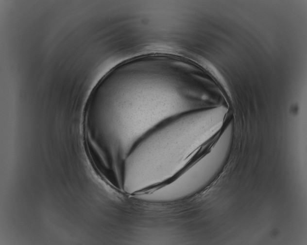 X0000090931339200708271037