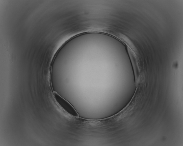 X0000090931340200708271037