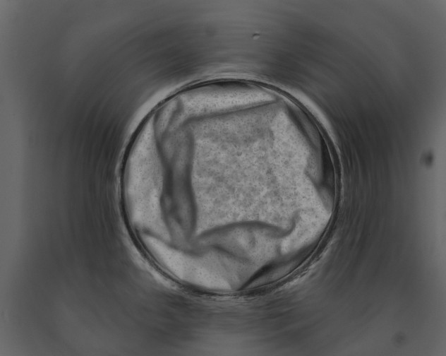 X0000090931341200708271037