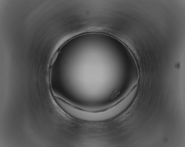 X0000090931342200708271037