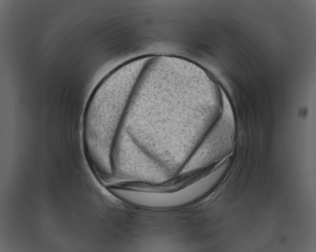 X0000090931343200708271037