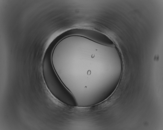 X0000090931344200708271037