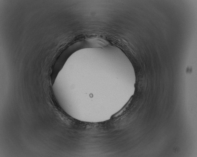 X0000090931345200708271036