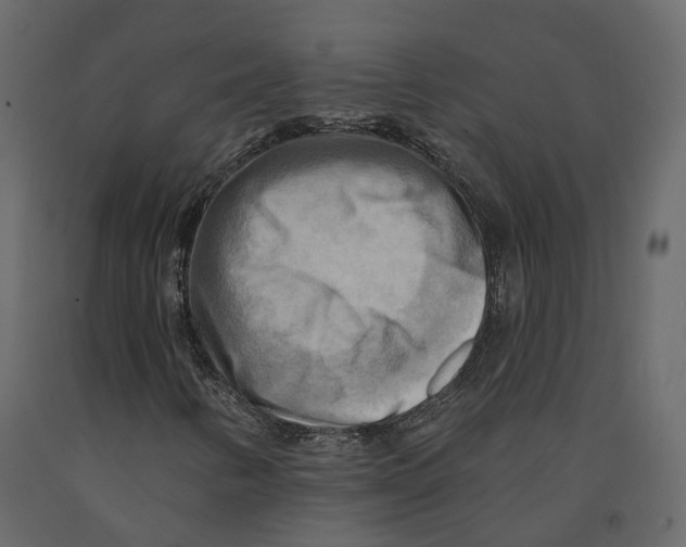 X0000090931346200708271036