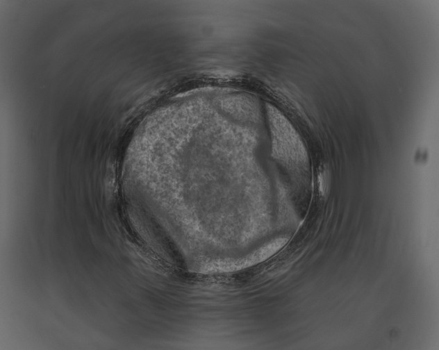 X0000090931347200708271036