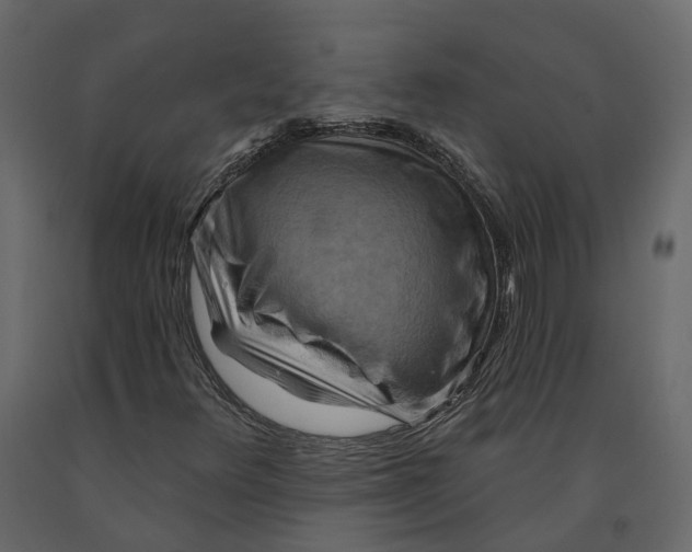 X0000090931348200708271036