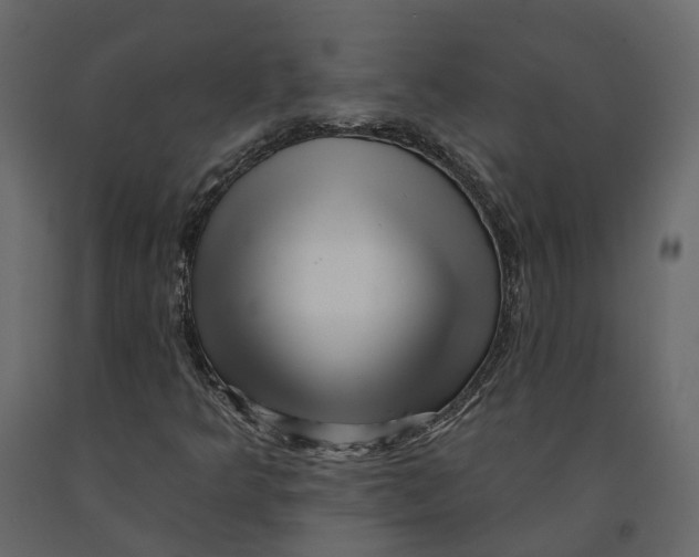 X0000090931349200708271036