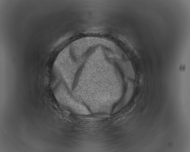 X0000090931350200708271036