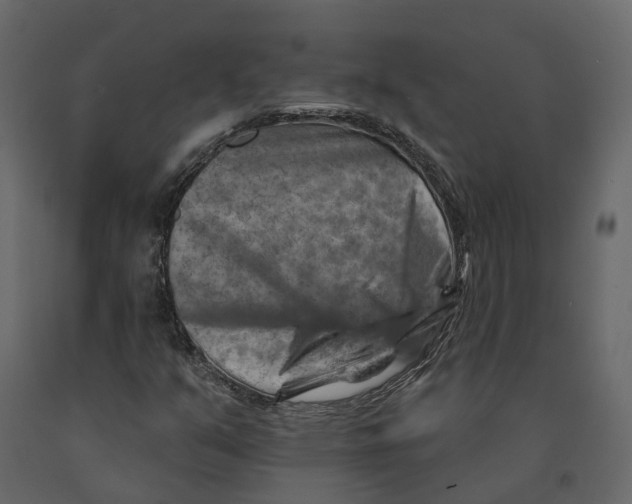 X0000090931351200708271036