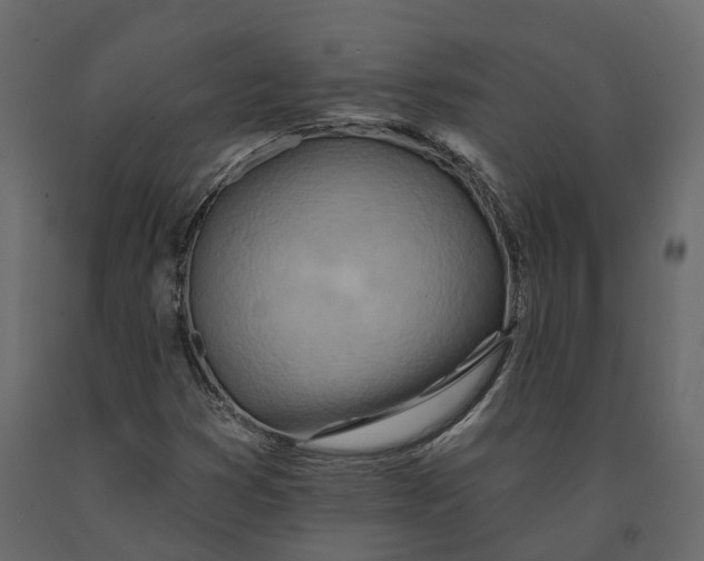 X0000090931353200708271036