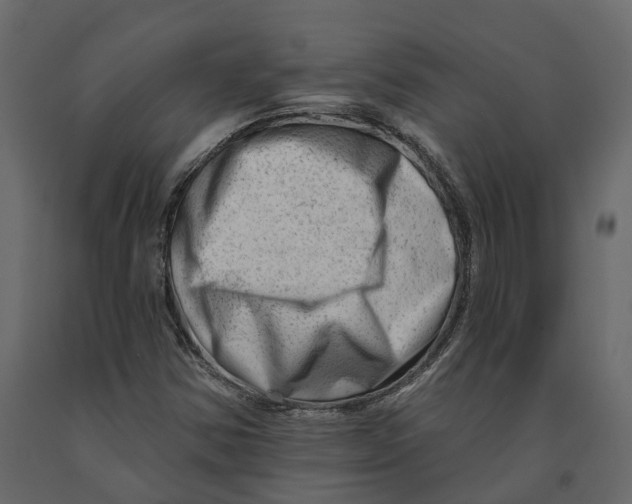 X0000090931354200708271036