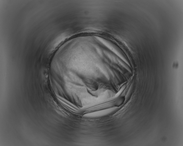 X0000090931355200708271036