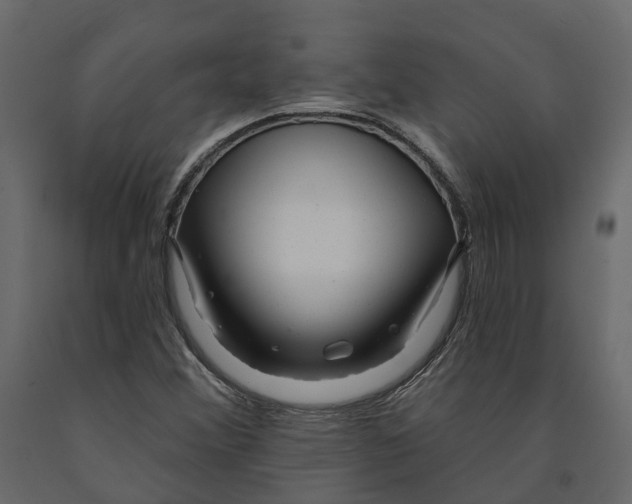 X0000090931356200708271036