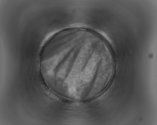 X0000090931358200708271036