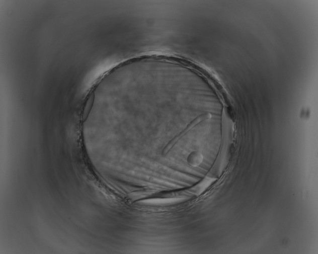 X0000090931359200708271036