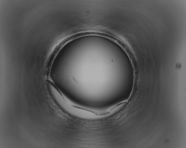 X0000090931360200708271036