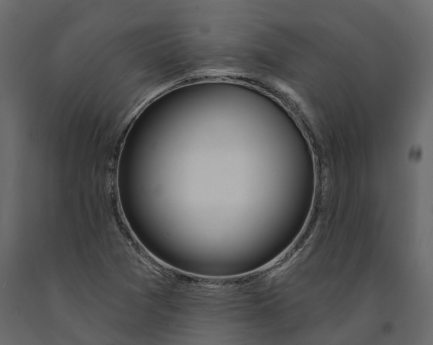 X0000090931361200708271036