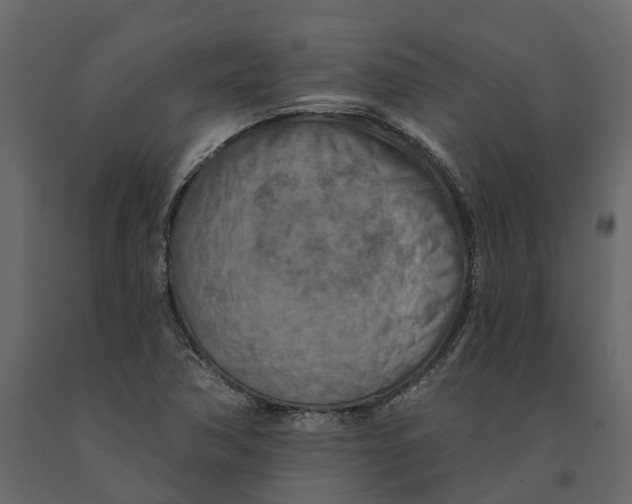 X0000090931362200708271036