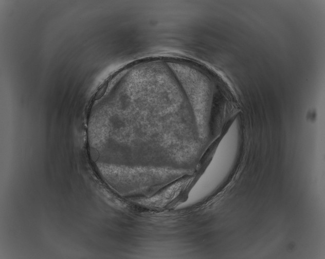 X0000090931363200708271036